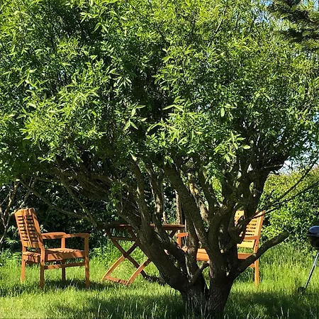 Alloggio per agriturismo Blick Neukoog *